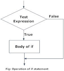 Flowchart of if statement in Python programming