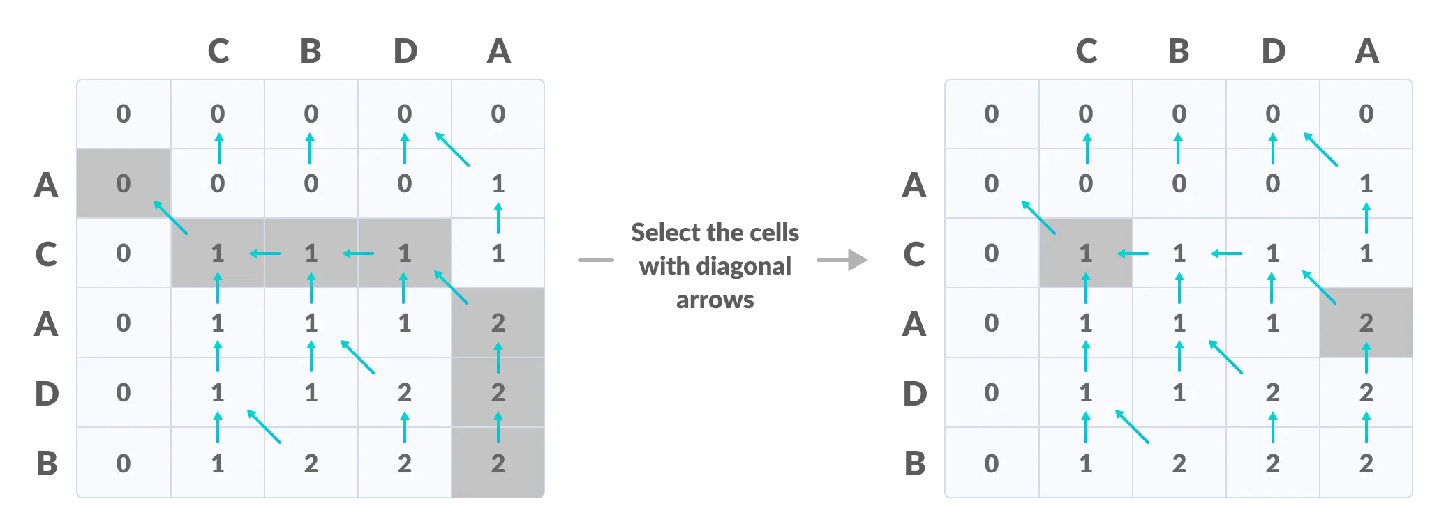 Longest Common Subsequence Example