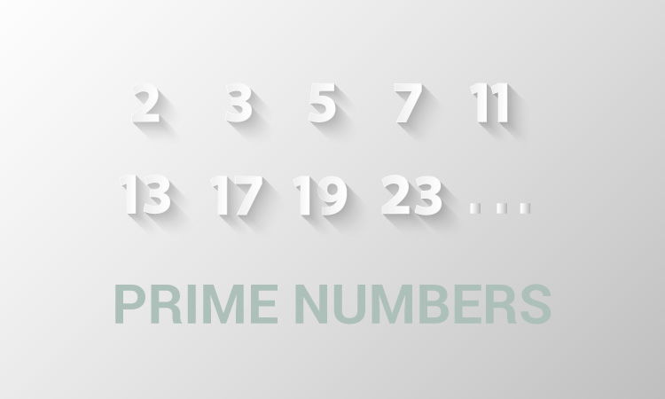 Prime Numbers